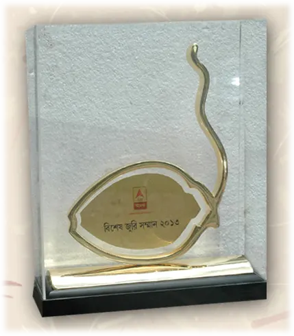 Special Jury Award 2013 (বিশেষ জুরি সম্মান)